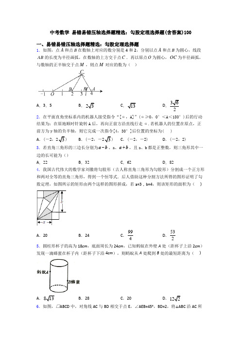 中考数学 易错易错压轴选择题精选：勾股定理选择题(含答案)100