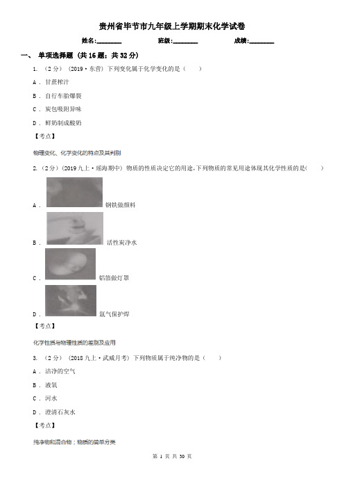 贵州省毕节市九年级上学期期末化学试卷