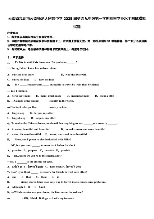 云南省昆明市云南师范大附属中学2025届英语九年级第一学期期末学业水平测试模拟试题含解析