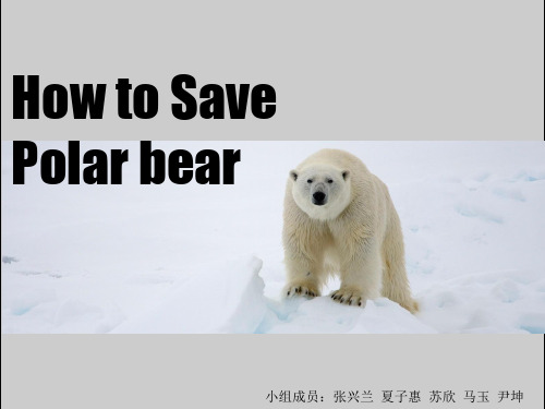 英语PPT演讲how to polar bear