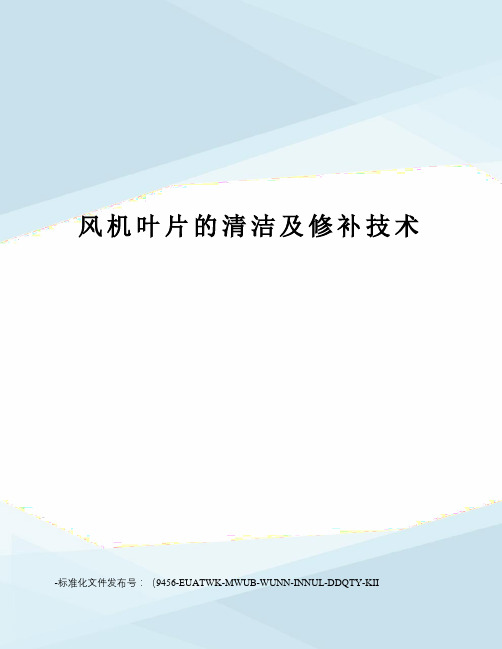 风机叶片的清洁及修补技术