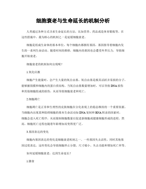 细胞衰老与生命延长的机制分析