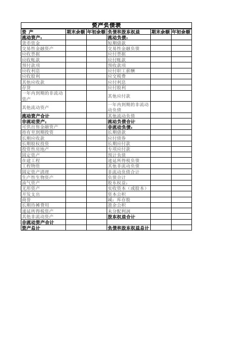 资产负债表 E cel 工作表