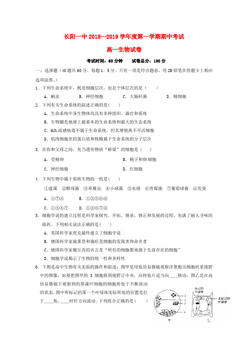 湖北省长阳县第一高级中学2018-2019学年高一生物上学期期中试题