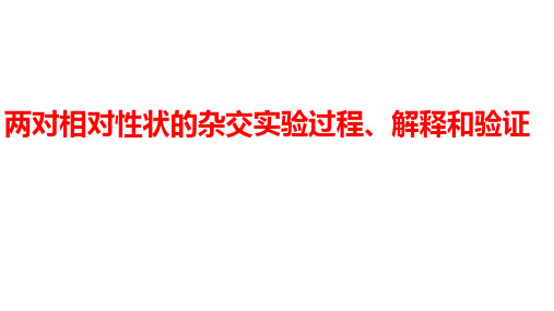 两对相对性状的杂交实验过程、解释和验证课件-高一生物人教版必修2