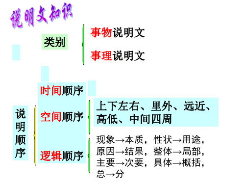 说明文知识点归纳