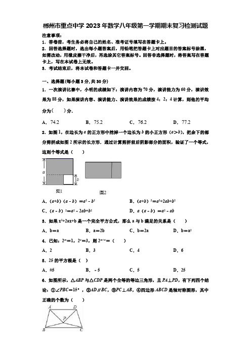 郴州市重点中学2023年数学八年级第一学期期末复习检测试题【含解析】