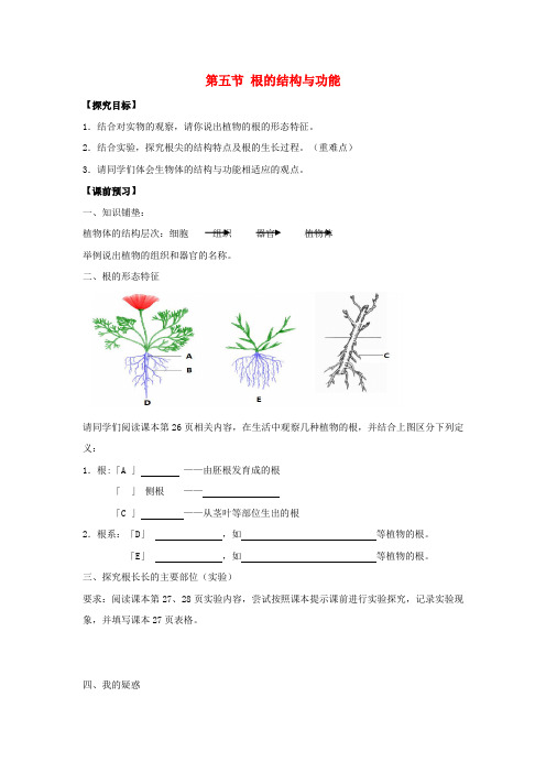 八年级生物上册 第四单元 第一章 第5节《根的结构与功能》导学案1(无答案)(新版)济南版