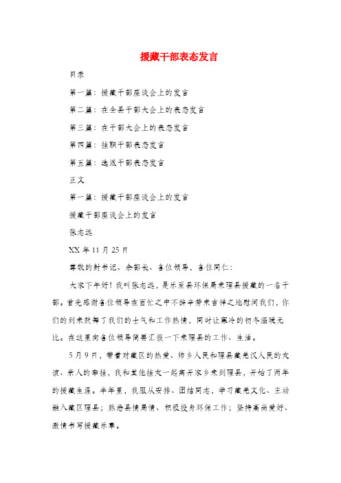 援藏干部表态发言精选多篇