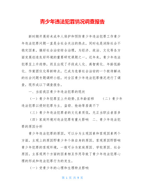 青少年违法犯罪情况调查报告