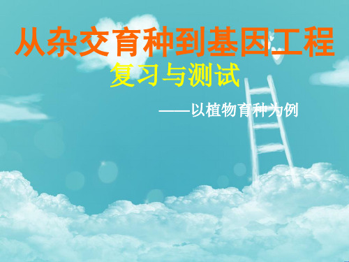 2021届高考生物一轮复习必修二第六章从杂交育种到基因工程