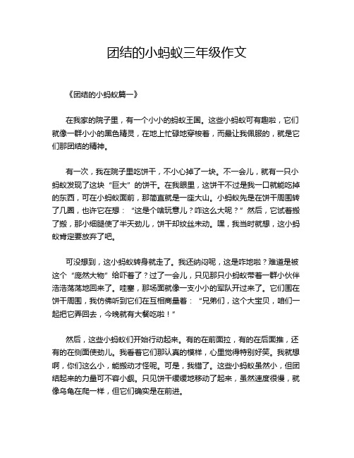 团结的小蚂蚁三年级作文