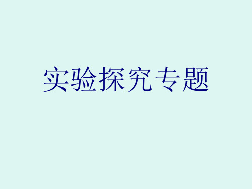 八年级上科学实验探究专题 浙教版