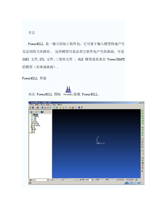 Powermill中文教程全集【范本模板】