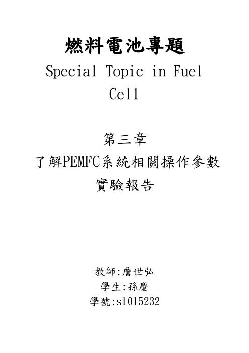 燃料电池专题第三章实验报告