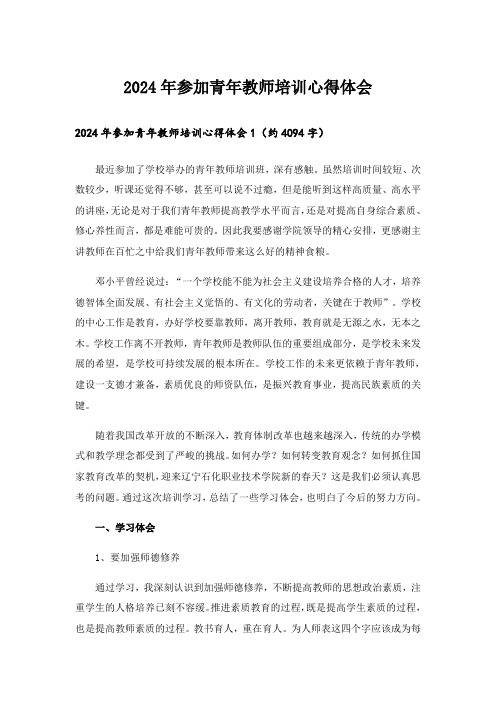 2024年参加青年教师培训心得体会