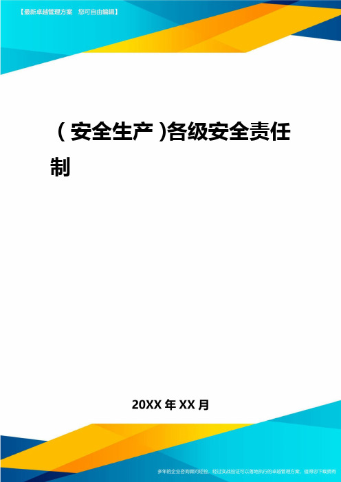 2020年(安全生产)各级安全责任制