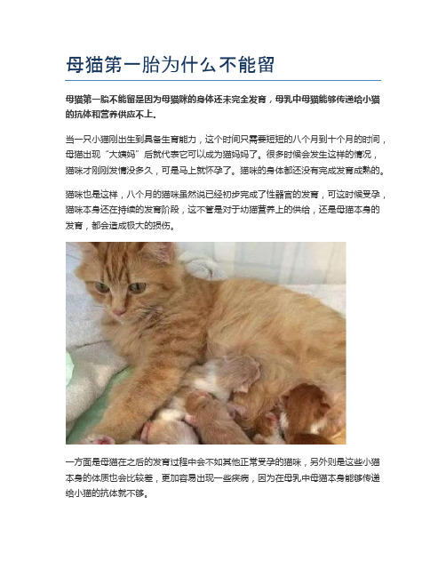 母猫第一胎为什么不能留