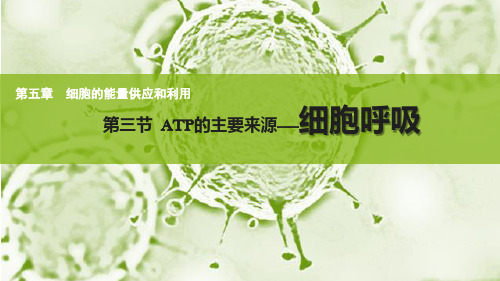 ATP的主要来源——细胞呼吸 高中生物必修一教学课件PPT 人教版