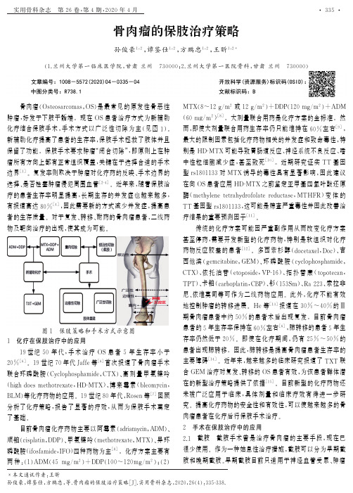 骨肉瘤的保肢治疗策略