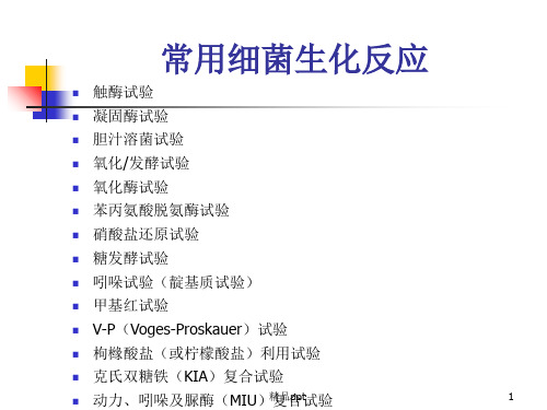 微生物细菌鉴定试验汇总ppt课件