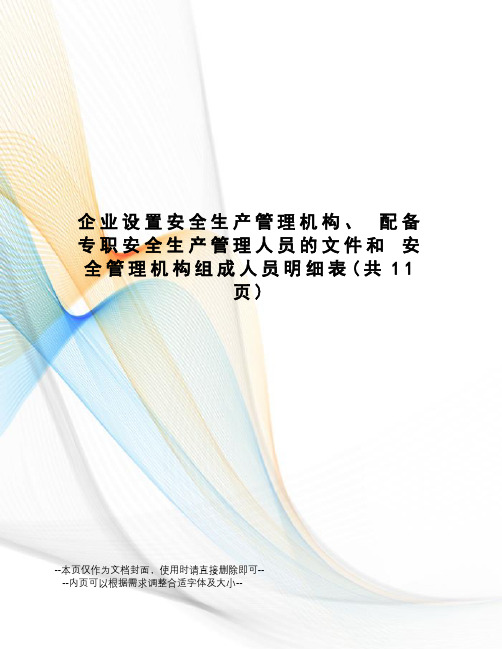 企业设置安全生产管理机构、配备专职安全生产管理人员的文件和安全管理机构组成人员明细表