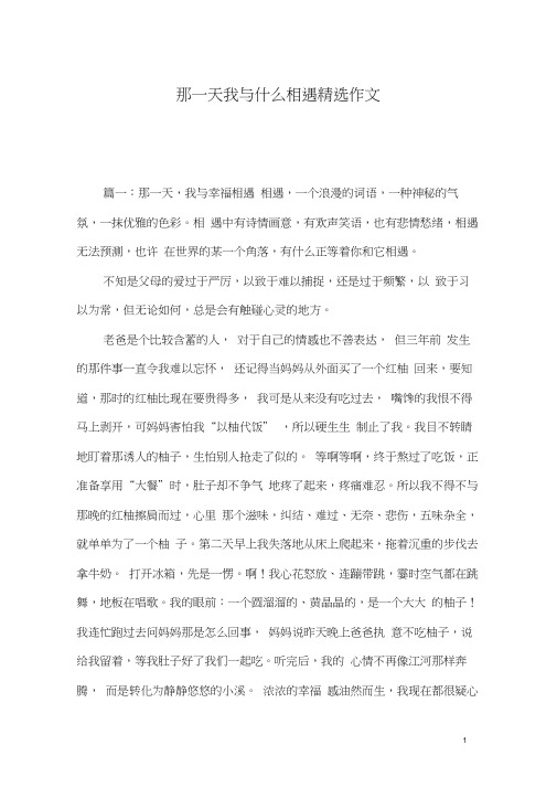 那一天我与什么相遇精选作文