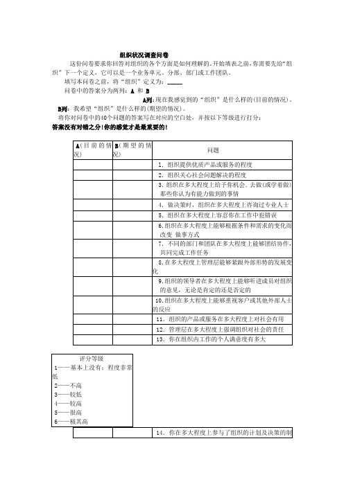 组织状况调查问卷.