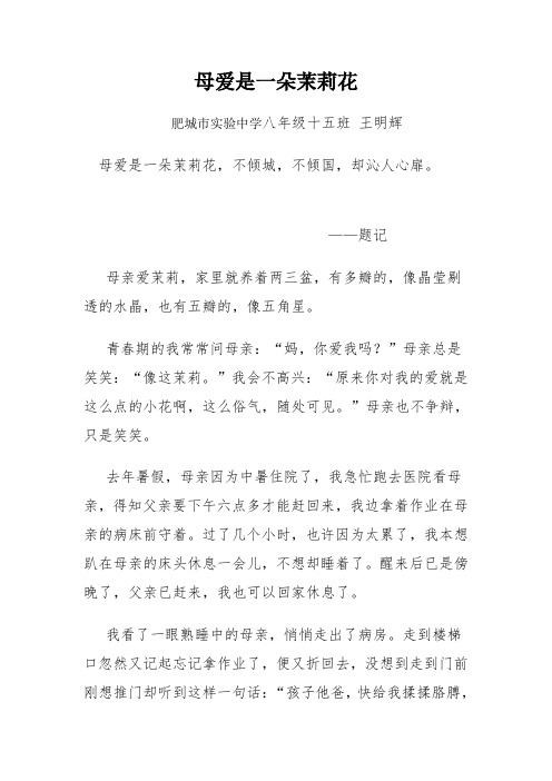 王明辉母爱是一朵茉莉花