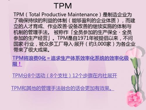 TPM(中文)