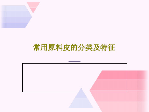 常用原料皮的分类及特征共53页文档