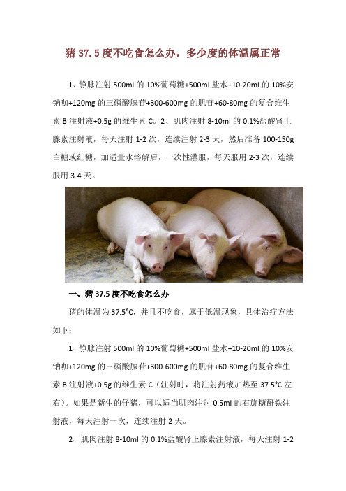 猪37.5度不吃食怎么办,多少度的体温属正常