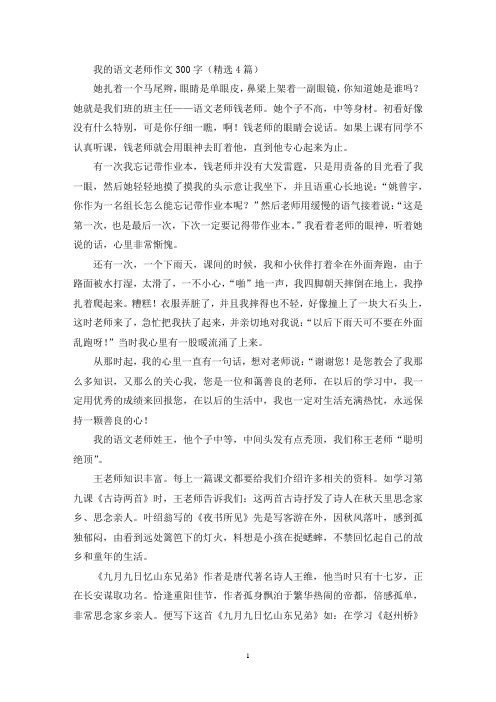 我的语文老师优秀作文300字