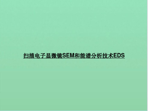 扫描电子显微镜SEM和能谱分析技术EDS