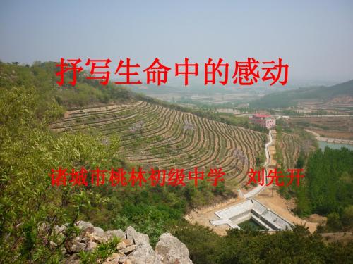 抒写生命中的感动(诸城 刘先开)