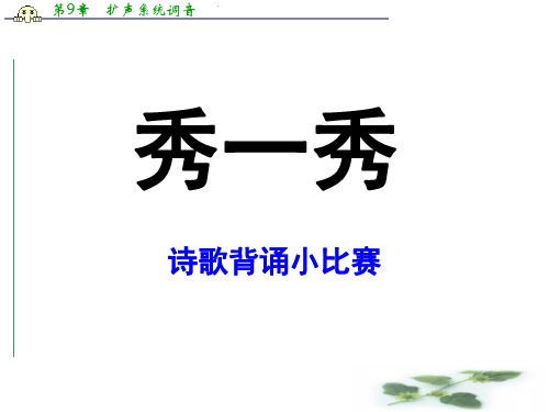 度高二语文苏教《唐诗宋词选读》选修系列(旅夜书怀)课件(46张)