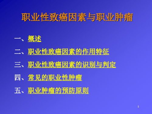 讲稿职业性致癌因素与职业肿瘤ppt课件