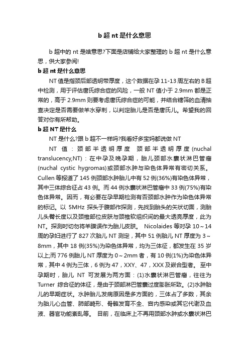 b超nt是什么意思