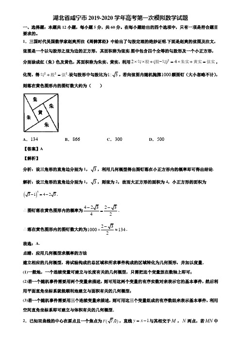 湖北省咸宁市2019-2020学年高考第一次模拟数学试题含解析