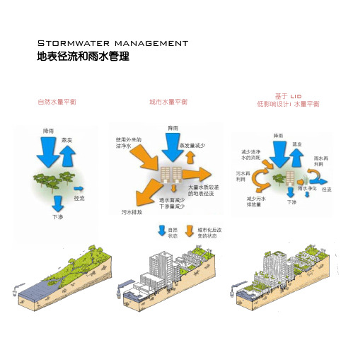 常用的地表径流和雨水控制的策略和景观技术方法