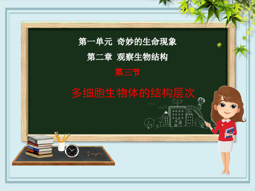 恩施市实验中学七年级生物上册 第一单元 奇妙的生命现象 第二章 观察生物结构 第3节 多细胞生物体的