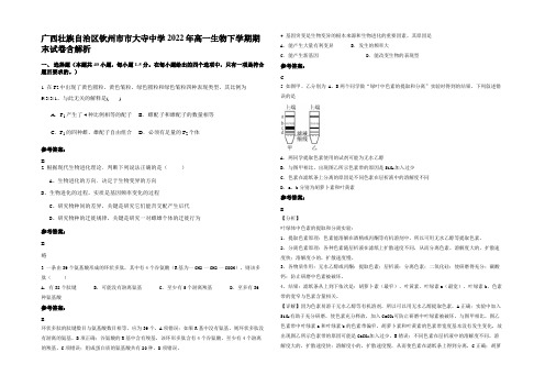 广西壮族自治区钦州市市大寺中学2022年高一生物下学期期末试卷含解析