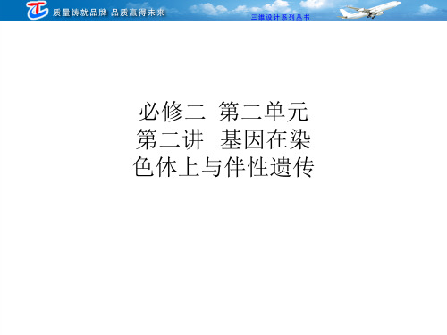必修二 第二单元 第二讲 基因在染色体上与伴性遗传
