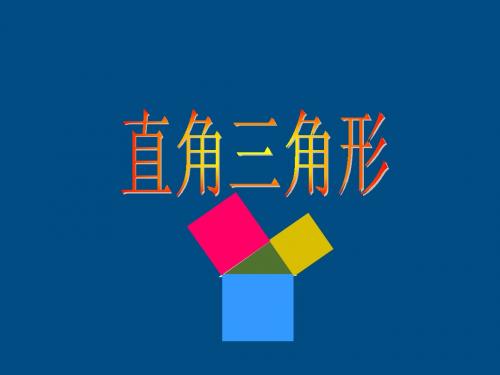 九年级数学上册 1.2直角三角形(1)课件 北师大版