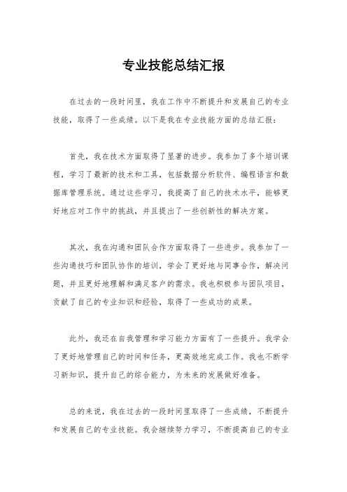 专业技能总结汇报