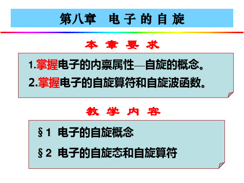 第八章 电子的自旋汇总