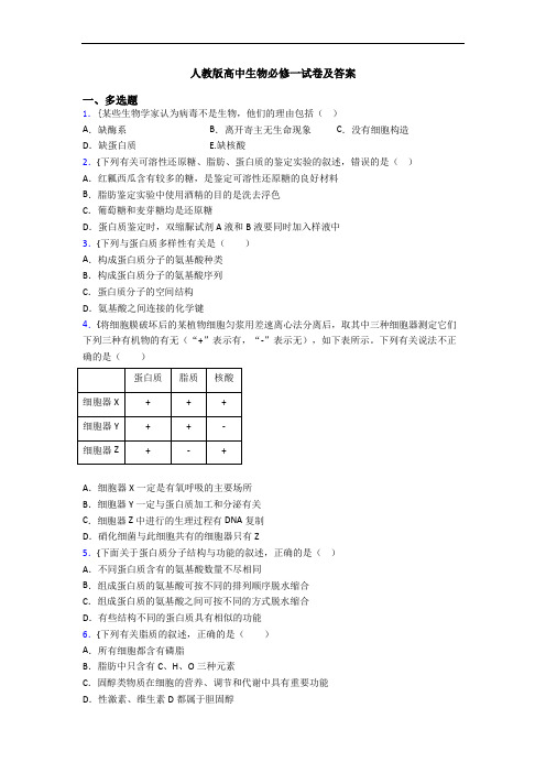 人教版高中生物必修一试卷及答案