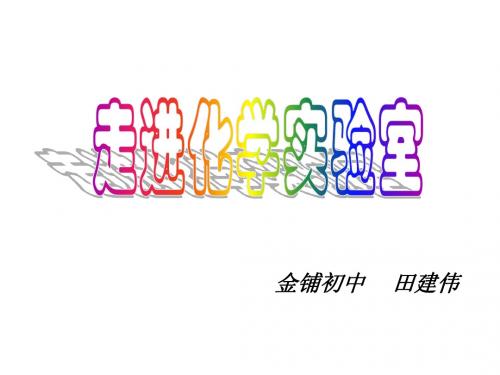 九年级化学上册 专题一单元3走进化学实验室课件(1) 湘教版