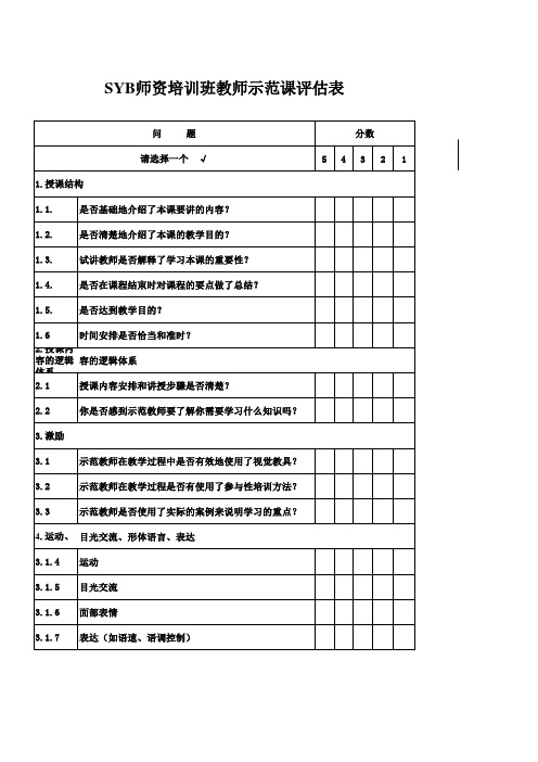 SYB-示范教师评估表