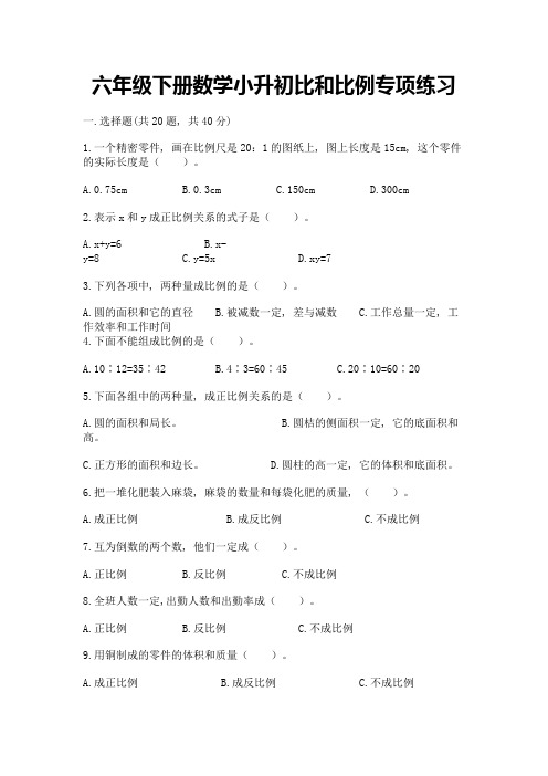 六年级下册数学小升初比和比例专项练习加答案(精练)